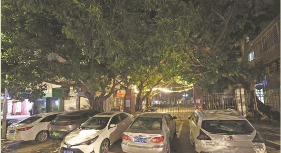 车主将车停在消防通道上 执法人员下发整改通知书