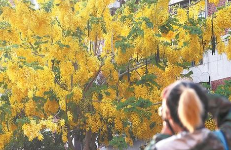 今起至后天 我市将有明显的降水过程