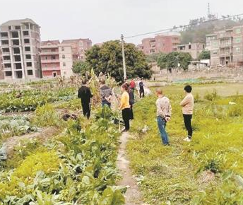 捐资修建半米旧田耕路 为千名群众提供便利