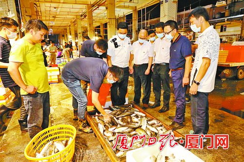 加强水产品质量安全监管 全面排查安全隐患