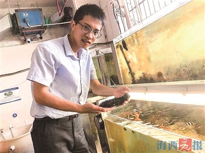青年科技工作者实现海参南方全人工育苗生产