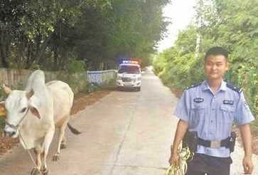 黄牛受到惊吓躲进停车场 警察“智取”控住黄牛