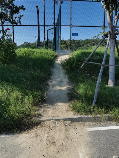 绿化带遭到市民不文明破坏  广大市民需提高整体素质