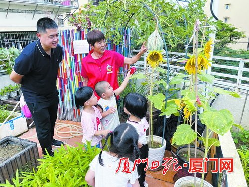 筼筜街道依托“近邻”模式 构建党建靓丽风景