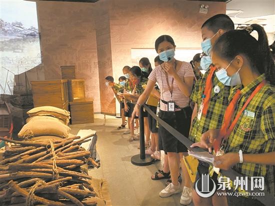 鲤城区实验小学学生走进海交馆 全方位了解遗产价值