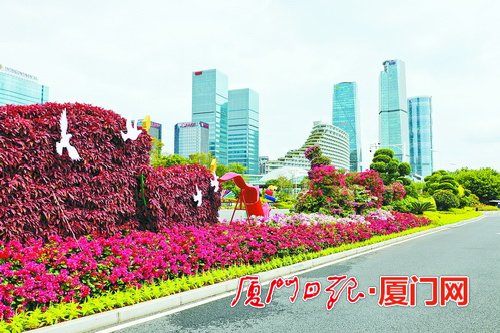 厦门市岛内“金钥匙”繁花拥簇 让宾客感受别样风情