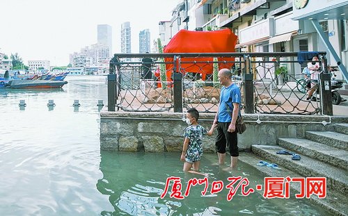 厦门海域迎来天文大潮 海水并未淹没避风坞木栈道