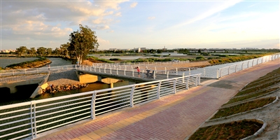 一座小桥衔接湿地公园 方便市民游客赏景休闲