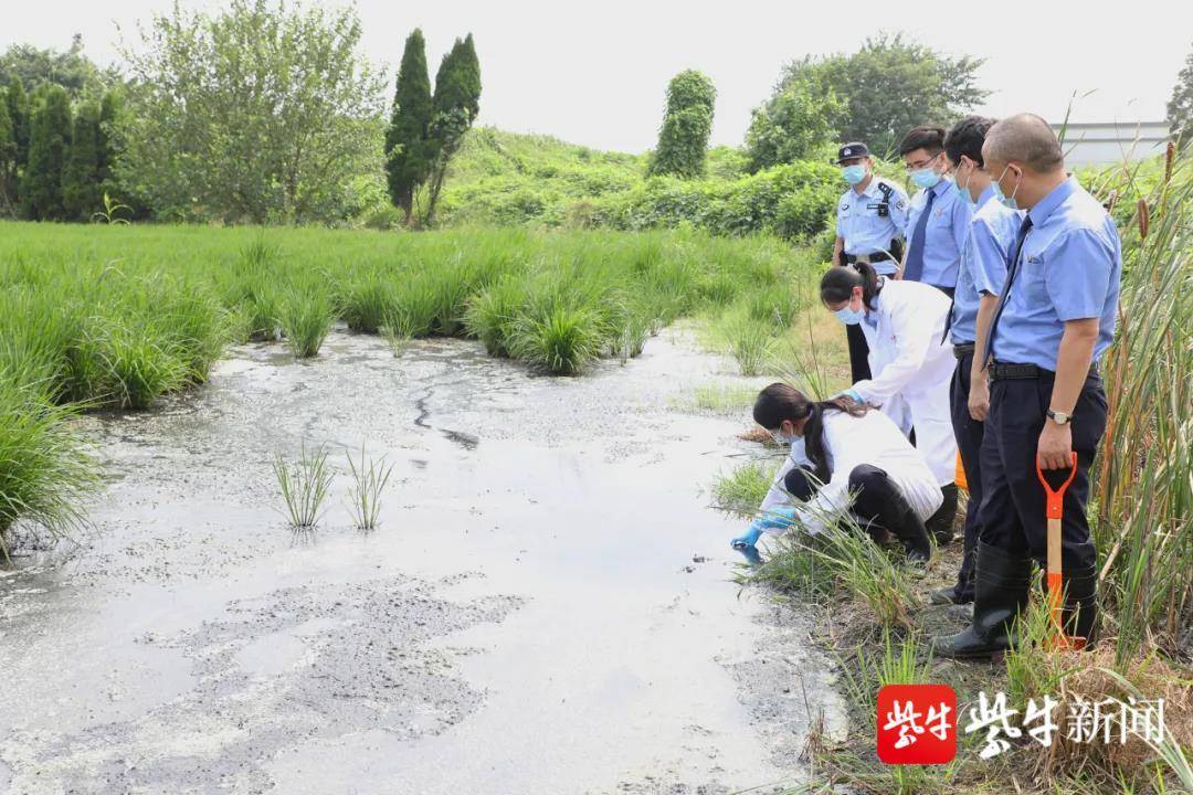 垃圾中转站污水外溢农田 水面堆积一层厚厚油污