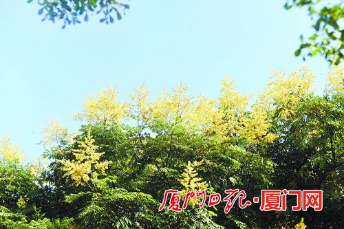 厦门将出现阵雨或雷阵雨 有望迎来短暂的清凉