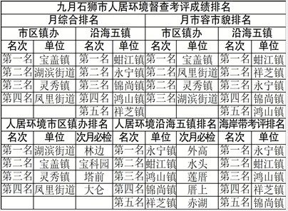 石狮市推进文明城市创建工作 发现各类问题9489个