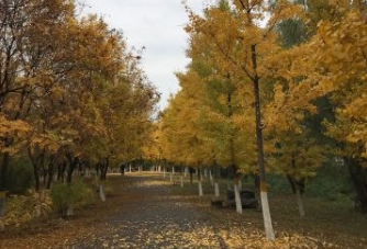 一股冷空气即将挥师南下 市民要注意做好保暖工作