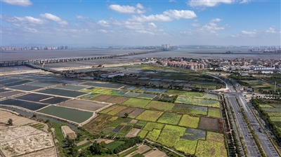 养殖场和田地变身生态公园 大大提升周边村落环境