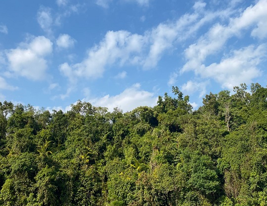 金山镇鹅仙洞确有“白衣仙子” 成为一道独特风景