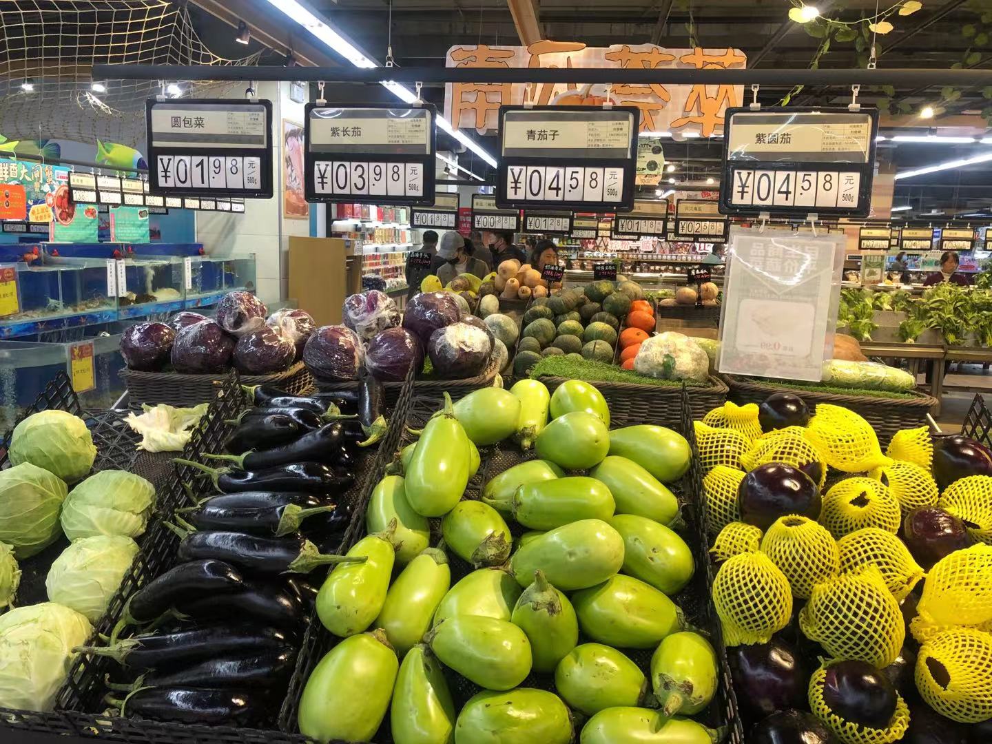 漳州市蔬菜价格上涨明显 造成近期跳涨主要因素有三