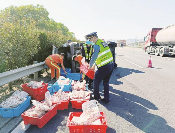 货车高速公路爆胎侧翻 执法人员帮忙动手搬猪肉