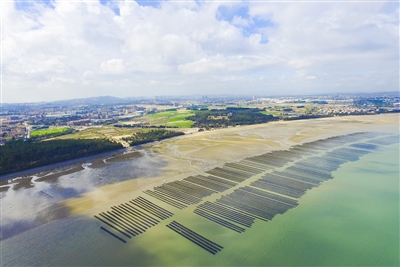 祥芝镇开启“耕海牧渔”2.0模式 推进渔业发展转型升级
