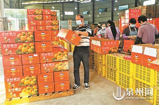 永春芦柑顺利出口东南亚国家 产季出口持续到明年5月份