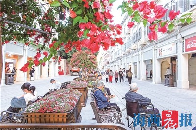 花漾街区打造多彩立体花境 让百年老街焕发新活力