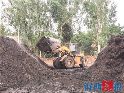 落叶枯枝成有机肥初料 变废为宝滋养城市绿意