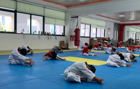 小学生跆拳道锦标赛落幕 比赛兼具竞技和观赏性