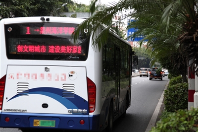 行道树太过茂盛会“闯祸”！树枝扫进车窗乘客受惊扰