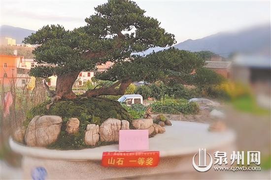 盆景行业职业技能竞赛开赛 67名选手同台竞技