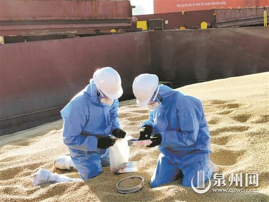 泉州跨境电商进出口增长数倍 前三大贸易伙伴均大幅增长
