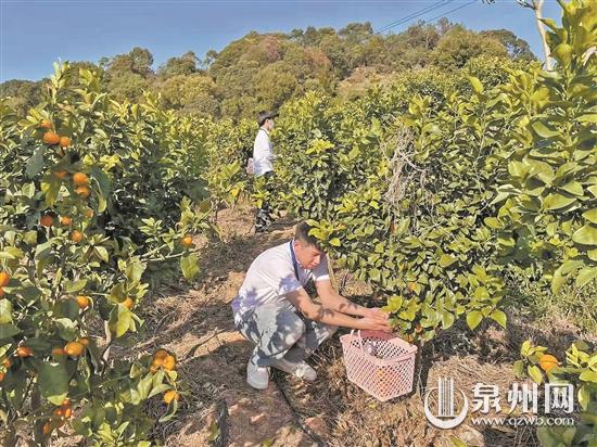 丰泽区一旅游学院开展寻根之旅研学活动