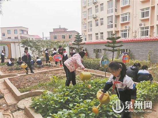 校园一块荒地改造为菜园地 帮助学生培养勤俭节约意识