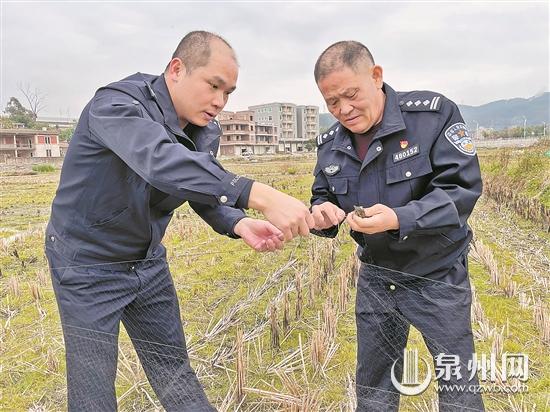 撑起渔网捉麻雀 警方提醒：违法！
