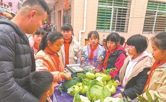 洛江区河市中心小学开展“有机蔬菜”爱心义卖活动