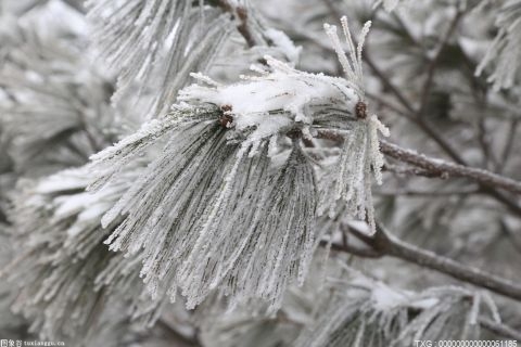 南昌连日寒潮持续 单日用气量突破今年以来最高值