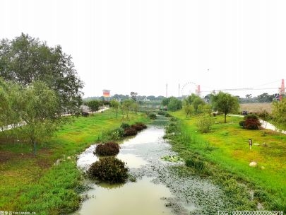 安徽将建立完善防洪排涝体系 提升城市排水防涝能力