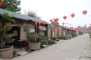 涡阳县标里镇团结村 三图合并绘就乡村振兴新画卷