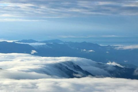 统计调查的温柔 无处不在