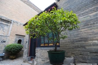 深圳20多家景区 对医护工作者实行免票或门票半价优惠政策