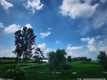 黑龙江推出“春天·种下一棵树”大型公益系列活动 迎接第41届全民义务植树节