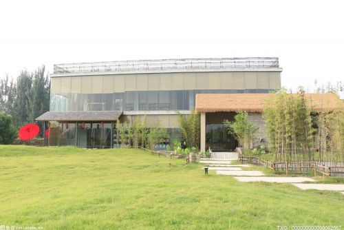 滁州大力打造农产品高产区推进农旅融合 高标准农田面积突破40万亩