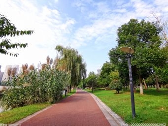 成都发布公园城市示范区行动计划 规划5年构建蓝绿交织公园体系