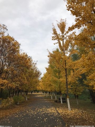 曹妃甸新城全面推进城市常态化精细化管理 治理城市顽疾