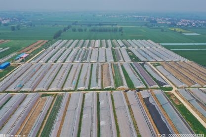 安徽夏粮收购110.21万吨 质量指标和食品安全指标近10年最优