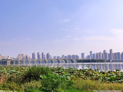 种大蒜的方法及步骤是什么？    大蒜怎么种出来的？   种大蒜的最佳时间是什么？